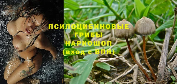 гидропоника Киренск