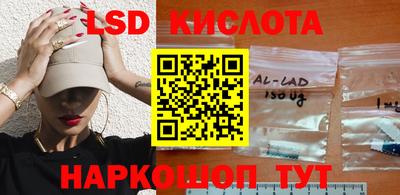 гашик Донской