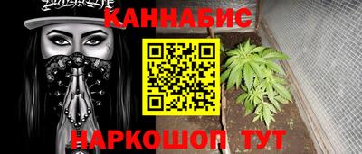 индика Камышлов