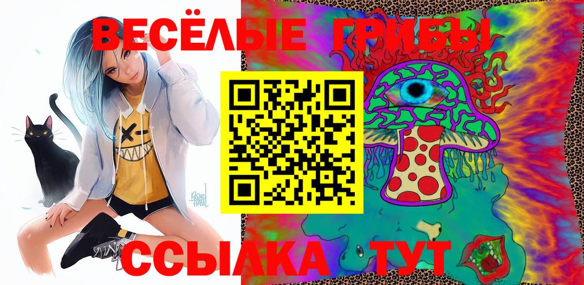 Галлюциногенные грибы Psilocybine cubensis  цены   Иваново  Галлюциногенные грибы Psilocybine cubensis 