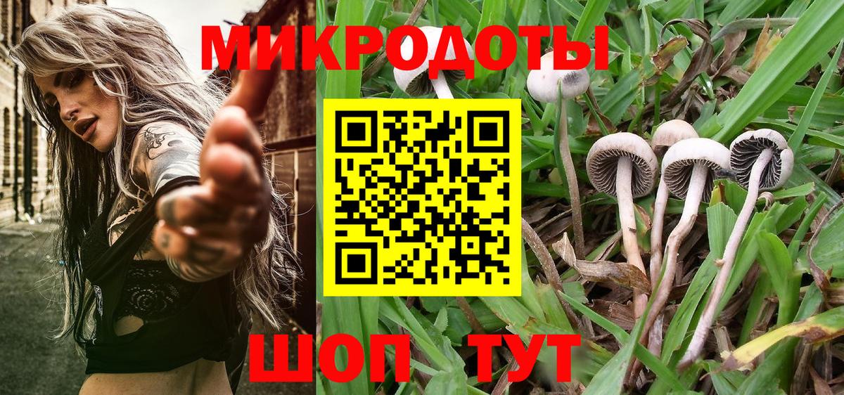 Псилоцибиновые грибы MAGIC MUSHROOMS Иваново